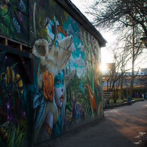 • <a style="font-size:0.8em;" href="http://www.flickr.com/photos/96122682@N08/39156211432/" target="_blank">View on Flickr</a>