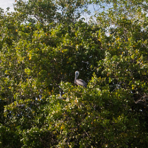 • <a style="font-size:0.8em;" href="http://www.flickr.com/photos/96122682@N08/25181056037/" target="_blank">View on Flickr</a>