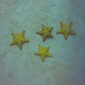 • <a style="font-size:0.8em;" href="http://www.flickr.com/photos/96122682@N08/25181212247/" target="_blank">View on Flickr</a>