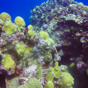 • <a style="font-size:0.8em;" href="http://www.flickr.com/photos/96122682@N08/40020549702/" target="_blank">View on Flickr</a>