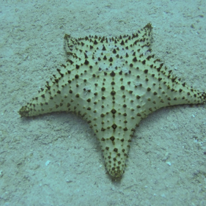 • <a style="font-size:0.8em;" href="http://www.flickr.com/photos/96122682@N08/25181212047/" target="_blank">View on Flickr</a>