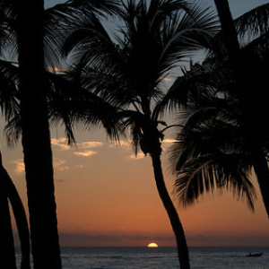 Atardecer en Bayahibe • <a style="font-size:0.8em;" href="http://www.flickr.com/photos/96122682@N08/28273894929/" target="_blank">View on Flickr</a>